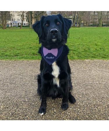 Buy printplanet Dog Scarf with Custom Name - Bow Tie Design - Size L - Stylish Pet Accessory - Buy Online on SooperMarket.com