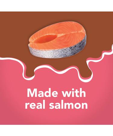 Purina Friskies Extra Gravy Salmon Pate Wet Cat Food 5.5 oz. Cans (Pack of 24) - Buy Online on SooperMarket.com
