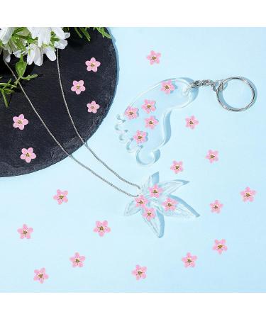 Timtin 100 Pcs Natural Forget Me Dried Flowers for DIY Jewelry, Candle, and Card Making - Real Pressed Flowers for Resin Ornaments and Nail Art Decorations (Pink) - Buy Online on SooperMarket.com