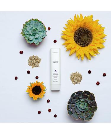 L'ANZA Healing Smooth Glossifying Conditioner - Nourishing, Repairing, Shine-Boosting Formula for Silky-Smooth, Frizz-Free Hair - 8.5 Fl Oz - Buy Online on SooperMarket.com