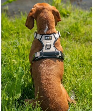 Shop Lionto Adjustable Padded Anti-Pull Dog Harness - Reflective Safety Harness Size S Beige | International Shipping Available - Buy Online on SooperMarket.com