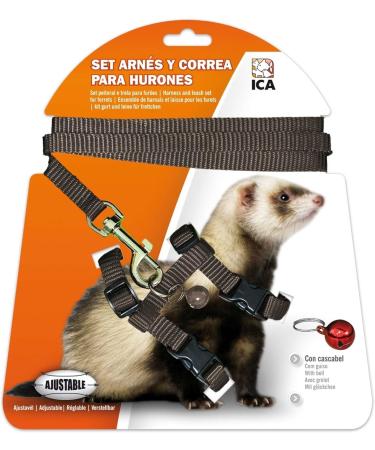 ICA DA973 Ferret Set with Harness & Belt - Black | Premium International Shipping - Buy Online on SooperMarket.com