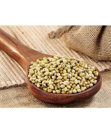 OMC organic Natural Coriander Seeds Whole Dhaniya Pure Premium quality Coriander Seeds (100gm Pack) - Buy Online on SooperMarket.com