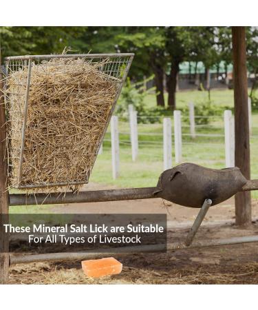 Himalayan Nature Licking Salt for Horses - 2 Pack Pink | Natural Mineral Supplement - Buy Online on SooperMarket.com