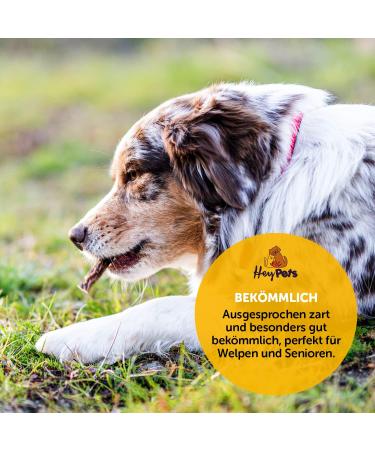 Hey Pets Puppy Sticks - Natural Grain-Free Chewing Bones for Small Dogs & Puppies | 100% Premium Cattle | 500g Dental Care Treats | International Shipping - Buy Online on SooperMarket.com