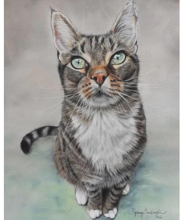 Clairefontaine PastelMat Paper Pack 5 Sheets - 24x32 cm Dark Grey - Buy Online on SooperMarket.com