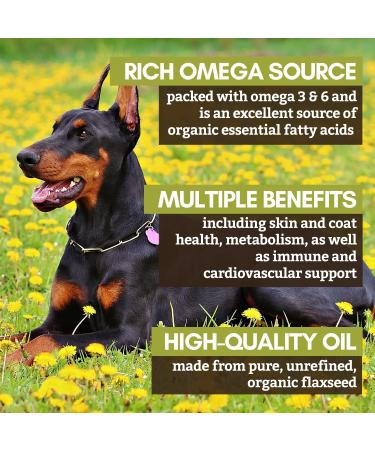 Wholistic Pet Organics Flaxseed Oil for Dogs - 16 Oz | Organic Antioxidant-Rich Omega 3 & 6 Supplement for Cardio, Immune, Skin & Coat Health - Buy Online on SooperMarket.com