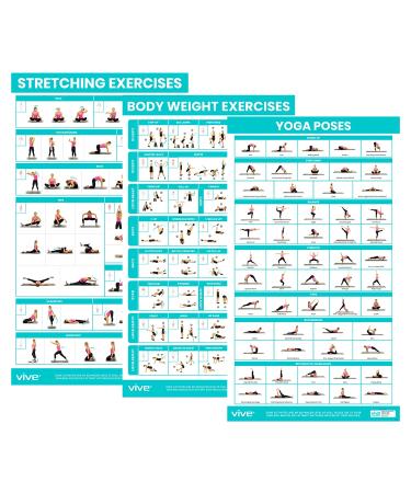 Vive Workout Posters 3 Pack - Bodyweight, Yoga, Stretching Exercise Pack - Home Equipment Accessories Fitness Guide Chart Motivation Sequence for Women, Men, Kids - Laminated, Colored Illustrations