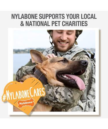 Nylabone Wishbone Dog Chew Toy for Adult Dogs - Bison Large/Giant Size | Durable Ergonomic Design | For Puppies and Adult Dogs | 1 Count - Buy Online on SooperMarket.com