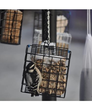 C&S Wild Bird Double Suet Basket  2.7" D x 5.3" W x 5.2" H - Buy Online on SooperMarket.com