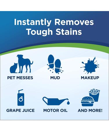 Woolite InstaClean Pet Stain Remover with Brush Head Cleaner 18 fl. oz - White - Buy Online on SooperMarket.com