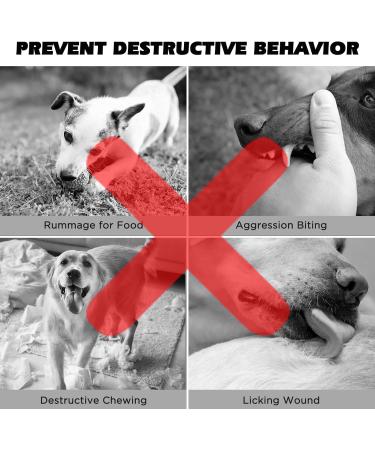 BONTHEE Dog Muzzle Soft Mesh Muzzles for Small Medium Large Sized Dogs Muzzle for Dogs to Prevent Biting Breathable Puppy Muzzle for Scavenging Grooming Biting Chewing and Licking Carrot M - Buy Online on SooperMarket.com