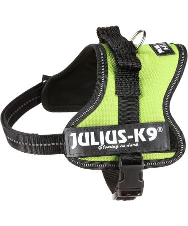 K9 Powerharness XS/Mini-Mini - Lightweight & Durable Dog Harness in Kiwi Color for Ultimate Comfort and Control | International Shipping Available - Buy Online on SooperMarket.com