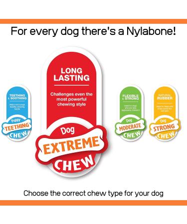 Nylabone Extreme Tough Dog Chew Toy - Shish Kebab Chicken Jerky Flavour - Small (Up to 11 Kg) - Buy Online on SooperMarket.com
