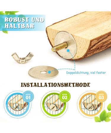 Reyshin Bird Seating Board Set - 4 Pieces Bird Playground Accessories with 5 Rat Balls for Budgies Canaries and Lovebirds - Ideal Bird Cage Toys - Buy Online on SooperMarket.com