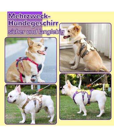 Multi-Purpose Dog Harness & Leash Set | Anti-Train Safety for Small & Medium Dogs (Yellow Size S) - Buy Online on SooperMarket.com