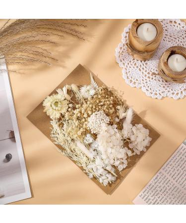 AhlsenL Real Dried Flowers Mix - Hydrangeas, Daisies, White Decorative Petals for DIY Crafts - Buy Online on SooperMarket.com