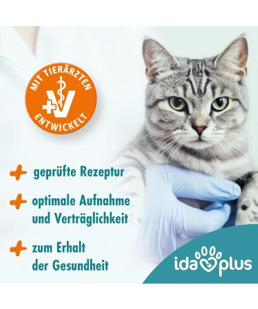 Ida Plus Dental Care Mini Sticks for Cats - Anti-Plaque Treats Freshens Breath Cleans Teeth - 80 Delicious Pieces - Buy Online on SooperMarket.com