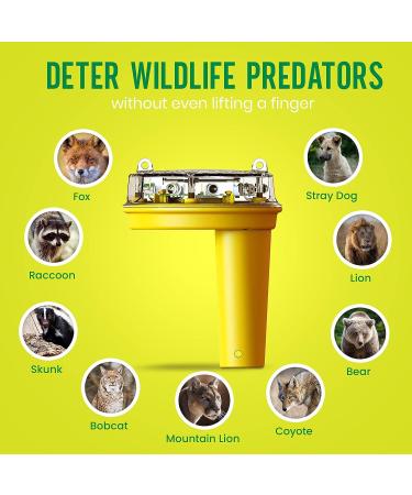 FOXLIGHTS Solar Night Predator Deterrent - LED Predator Control Light for Farms & Ranches - Protect Flocks & Crops! 360 Degree Flashing, Alarms Wildlife - Trusted by Professional Farmers - Buy Online on SooperMarket.com