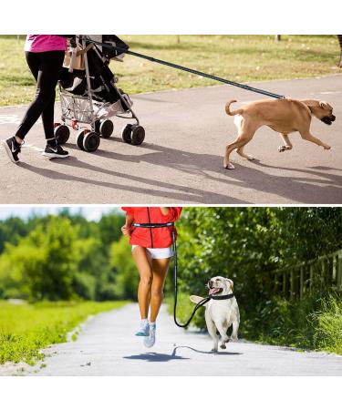 Philorn Hands Free Dog Lead with Phone Pouch - Running/Jogging Leash, Shock Absorbing Bungee, Reflective Stitching, Blue - Buy Online on SooperMarket.com