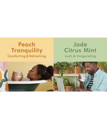 Teavana Jade Citrus Mint & Peach Tranquility Tea - Exquisite Blend for Relaxation - Buy Online on SooperMarket.com