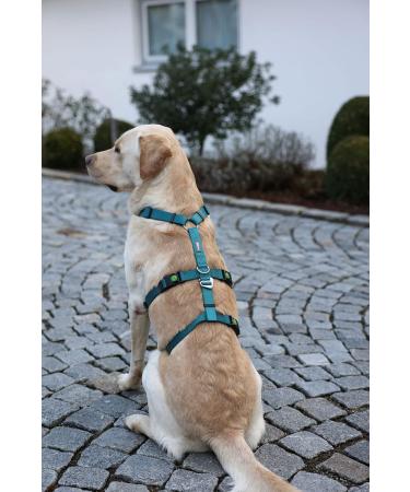 Kerbl 80045 Panic Harness Miami - Escape-Proof Design Petrol Color Adjustable 64-100cm | Shop Now for International Shipping - Buy Online on SooperMarket.com