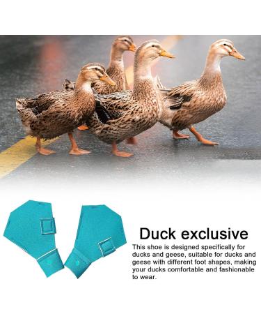 higyee Wildlife Protection Shoes - Anti-slip Protection Shoes for Wildlife | Shoes for Goose and Large Ducks Birds Hens Duck Accessories - Buy Online on SooperMarket.com
