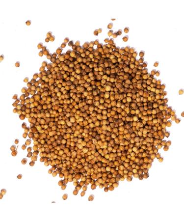 Bremer Gew rzhandel Whole Coriander Seeds - 75g for Cooking & Baking | Premium Quality Spice - Buy Online on SooperMarket.com