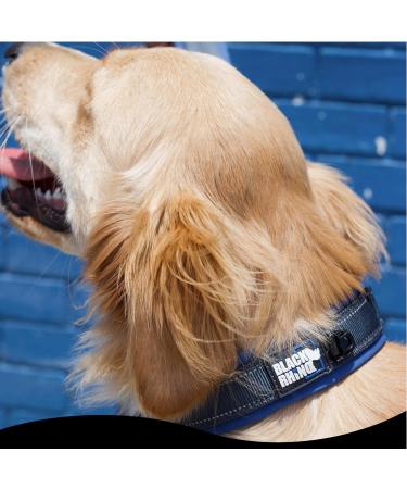Black Rhino Comfort Collar | Super Soft Neoprene Dog Collar for All Breeds | Adjustable Reflective & Weatherproof (Large Blue/Black) - Buy Online on SooperMarket.com