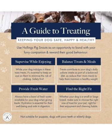 Hollings Pig Snouts Dog Treats 100% Natural Air Dried Crunchy Chews for Adult Dogs Grain Free & High in Protein (2kg Loose) 200 g (Pack of 1) - Buy Online on SooperMarket.com