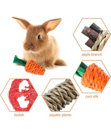 Fanshiontide 19 in 1 Bunny Chew Toys for Teeth - Rabbit Treats and Toys for Teeth - Timothy Hay Sticks, Loofah, Wood, Grass, Carrots, Corn - Ideal for Rabbit, Guinea Pig, Hamster, Chinchilla - Buy Online on SooperMarket.com