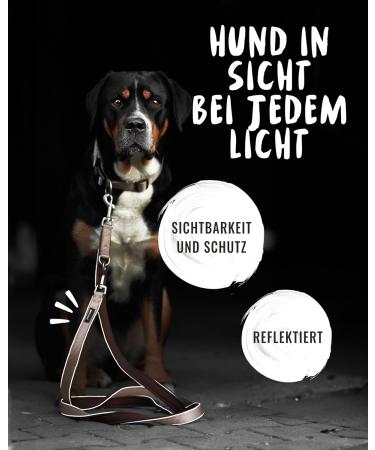 Rudelknig Dog Leash Paola 2.30m - Adjustable Reflective Leash for Medium & Large Dogs - Stylish Rose Color - Buy Online on SooperMarket.com