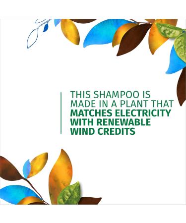 Herbal Essences Biorenew Coconut Milk Hydrate Shampoo 13.5 FL OZ - Nourishing Moisture for Dry Hair - Buy Internationally - Buy Online on SooperMarket.com