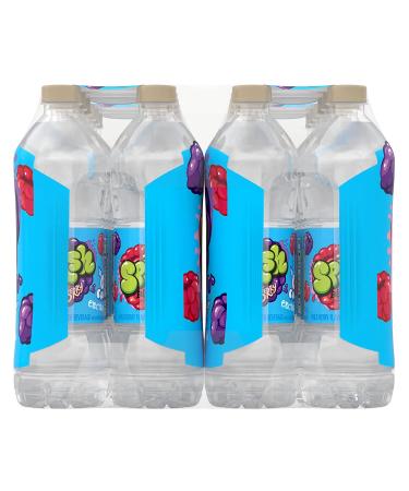 Wild Berry Flavor Splash Blast Flavored Water Beverage - 16.9 fl oz Plastic Bottles (24 Pack) - Buy Online on SooperMarket.com