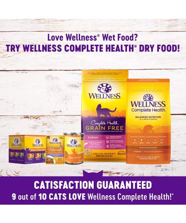 Wellness Complete Health Grain-Free Wet Cat Food - Natural Chicken in Gravy, 24-Pack, No Wheat or Artificial Additives - Buy Online on SooperMarket.com