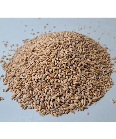 Premium Mills Emmer Grains 1000g - Fresh Whole Grain Emmer Kernels | R tze Mill Quality - Buy Online on SooperMarket.com