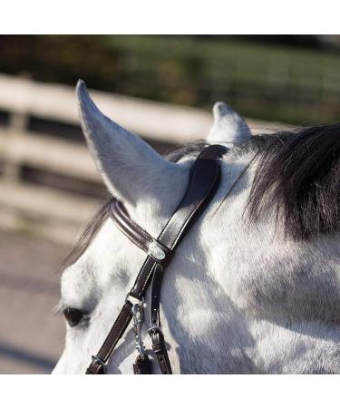 QHP Bitless Bridle Sunna - Pony Size Black | International Shipping Available - Buy Online on SooperMarket.com