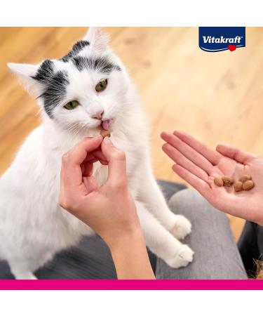 Vita Power Triggles Cat Snack - Turkey Portionable Treats for Reward & Training No Added Sugar (40g Pack) - Buy Online on SooperMarket.com