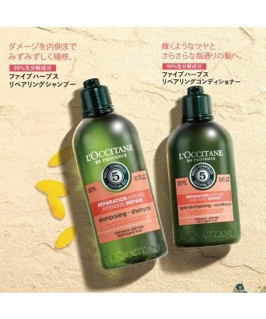 L'Occitane Intensive Repair Conditioner for Damaged Hair Refill 16.9 fl. oz. - Pack of 1 - Buy Online on SooperMarket.com