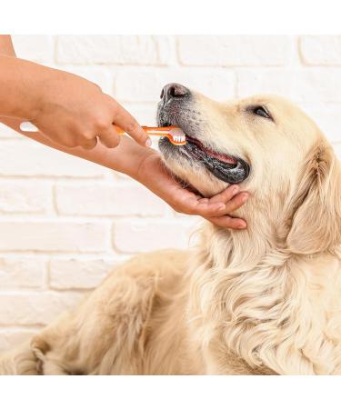 Dog Toothbrush 3 Sided Toothbrush 4PCS Triple Head Dog Toothbrushes for Dogs Dental Care with Soft Bristles Cleaning Brushes with Long Handle for Dog Cat Oral Dental Health - Buy Online on SooperMarket.com