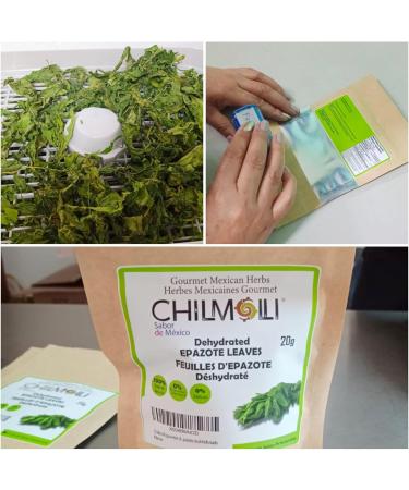 Chilmolli Epazote leaves dehydrated gourmet 20g/ Feuilles D Epazote d shydrat /Hojas de Epazote deshidratado. New - Buy Online on SooperMarket.com