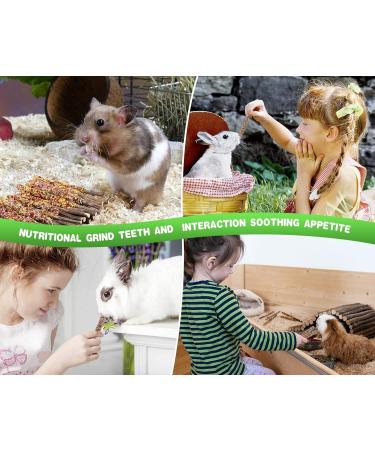 ABIZOO 18-Piece Rabbit Chew Toy Set | Natural Apple Sticks & Dental Care for Rabbits Hamsters & Guinea Pigs - Buy Online on SooperMarket.com