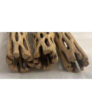 Awesome Aquatic Natural Cholla/Choya Wood 3 Pieces 6 for Shrimp Habitat and Food Treat Hermit Crabs Plecos Aquarium Decoration Lowers pH Hideouts and Chew Toys Reptiles Thorn Free Dried Organic 3 pc 6 inch - Buy Online on SooperMarket.com
