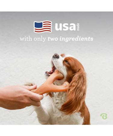 Benebone Wishbone Real Peanuts Medium Durable Dog Chew Toy for Aggressive Chewers | International Shipping Available - Buy Online on SooperMarket.com