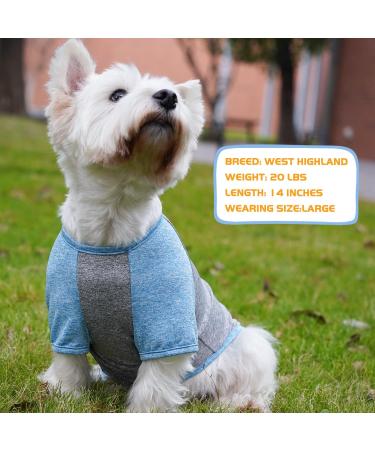 KYEESE 2 Pack Dog Shirts | Quick Dry Raglan Sleeve | Soft & Stretchy | Lightweight Dog Clothes | Reflective Label | 21 Chest | Small to Medium Dogs | Blue & Grey | 2 Pack - Buy Online on SooperMarket.com