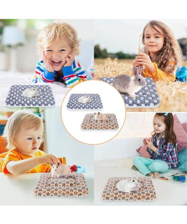 2 Pcs Small Animal Plush Bed Mat 35x27cm Washable Guinea Pig Bed Mat Fluffy Guinea Pig Bedding Mat Sleeping Pad for Bunny Hamster Guinea Pig Yellow Blue - Buy Online on SooperMarket.com