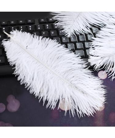 Natural White Ostrich Feathers 10-12inch - Pack of 12 for Wedding & Party Centerpieces - Easter Carnival Decor & Flower Arrangement - Home Decorations - White Feathers - Buy Online on SooperMarket.com
