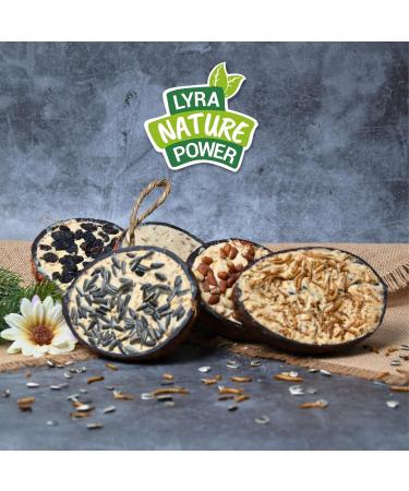 Buy Lyra PET 2x10 Coconut Filled Bird Feed | Fat-Rich Wild Bird Food with Toppings | Year-Round Nutrition | Vitamins & Protein for Wild Birds - Buy Online on SooperMarket.com