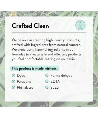 J.R. Watkins Foaming Hand Soap Refill Pouch - 2 Pack Aloe & Green Tea 28 fl oz - USA Made, Cruelty Free - for Bathroom or Kitchen - Buy Online on SooperMarket.com