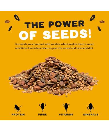Honey Roasted Sweet Mix of Sunflower & Pumpkin Seeds 450g - Gluten & Wheat-Free Protein Snack with Fibre & Vitamin E for Kids & Adults | Munchy Seeds - Buy Online on SooperMarket.com